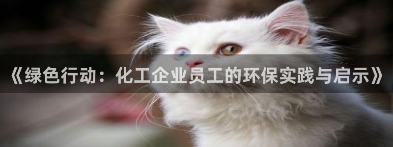 亿万讲了什么：《绿色行动：化工企业员工的环保实践与启示》