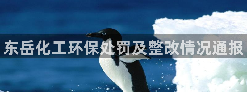 亿万国际平台是正规的吗安全吗：东岳化工环保处罚及整改情况通报