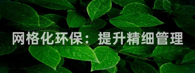 亿万贴吧：网格化环保：提升精细管理