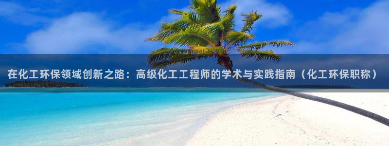 亿万先生换网址了吗：在化工环保领域创新之路：高级化工工程师的学术与实践指南（化工环保职称）