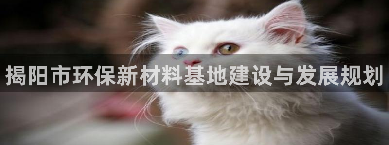 亿万手游官网网址：揭阳市环保新材料基地建设与发展规划