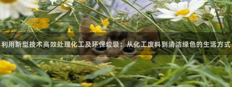 亿万先生换网址了吗知乎：利用新型技术高效处理化工及环保垃圾：从化工废料到清洁绿色的生活方式