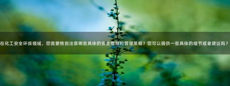 亿万先生合并网址是什么：在化工安全环保领域，您需要特别注意哪些具体的安全措施和管理策略？您可以提供一